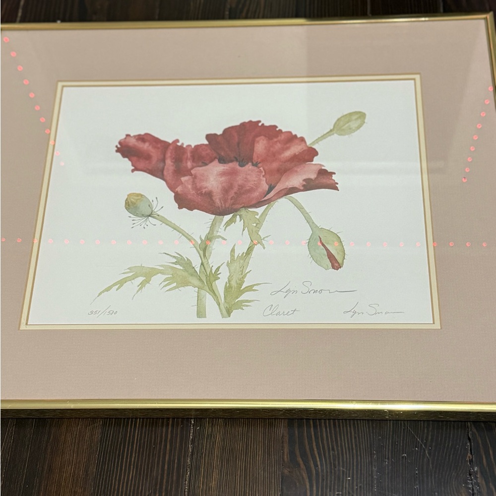 Framed Red Poppy Art Print